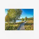 Ferienhaus Oertsylae B By Interhome Salla